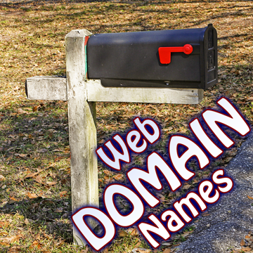 Website Domain Names